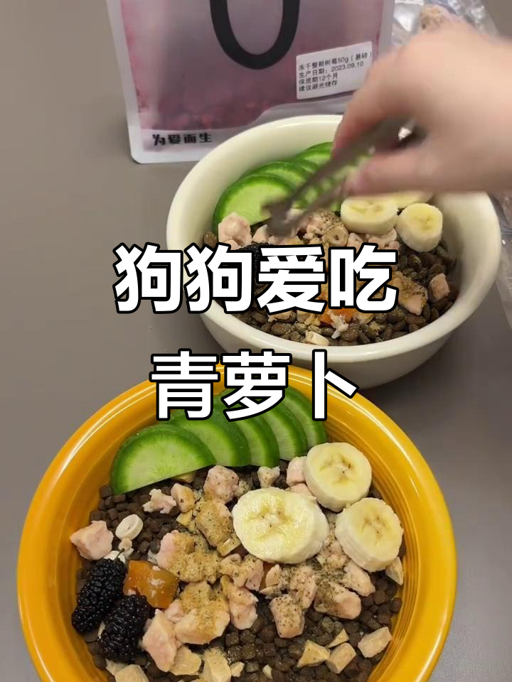 小狗的青萝卜大餐,干粮、鲨鱼骨焖鸡样样有