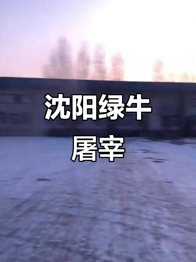 沈阳浩府牛肉:最大最环保的屠宰场,绿色健康肉源