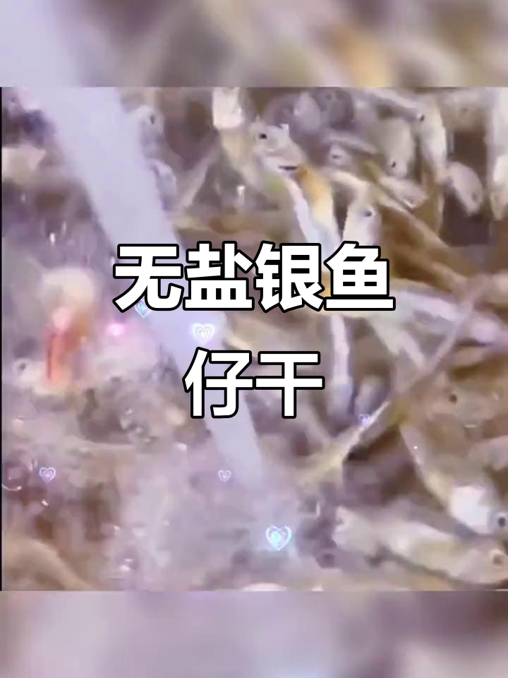 北海无盐银鱼仔干,海燕、白帆小鱼仔零食推荐