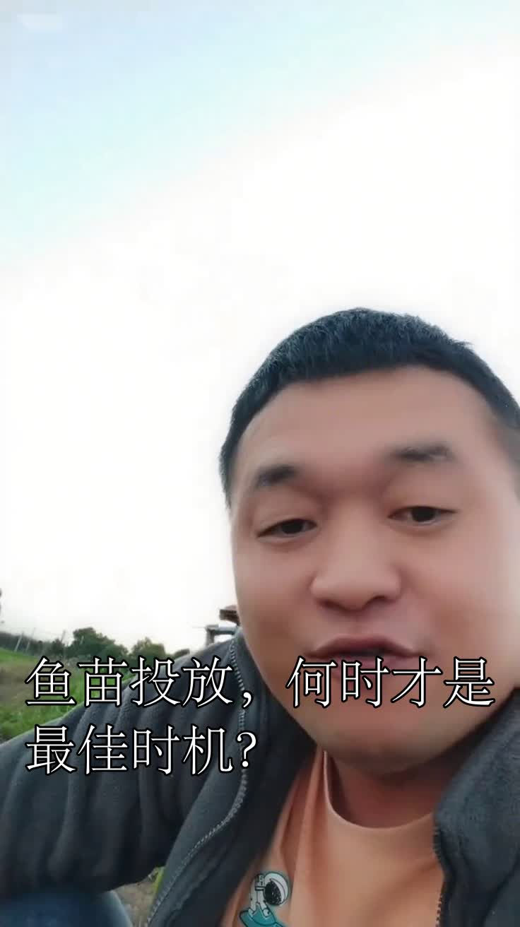 鱼苗投放,何时才是最佳时机?