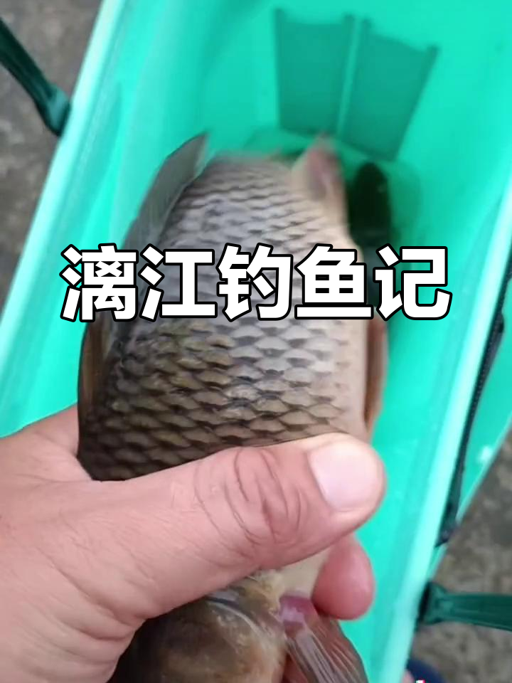 漓江钓鱼挑战:石头带电,鱼儿难钓