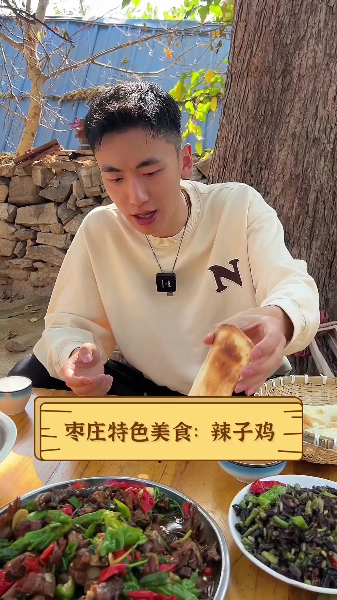 枣庄特色美食:辣子鸡