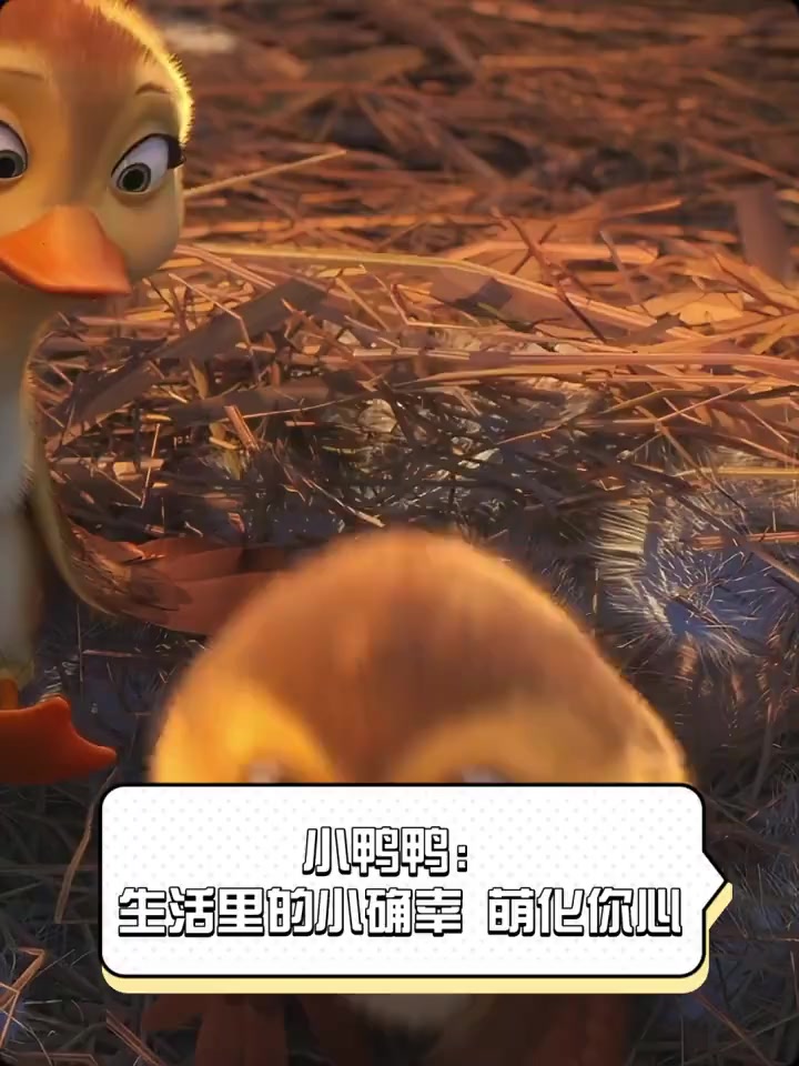 小鸭鸭:生活里的小确幸,萌化你心
