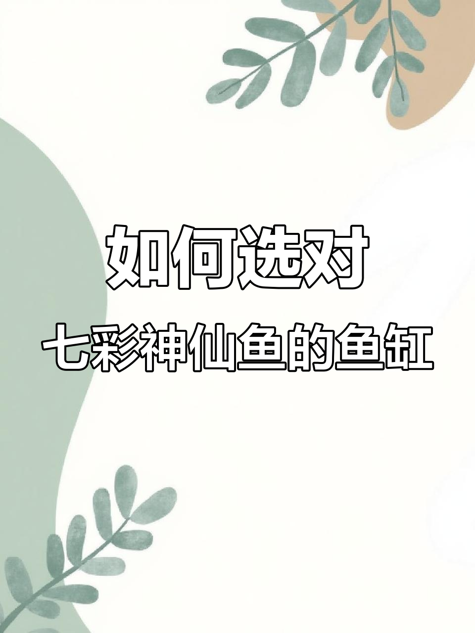 七彩神仙鱼饲养技巧:如何选择合适的鱼缸密度