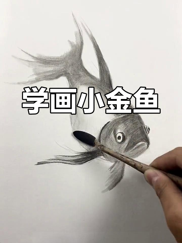 绘制逼真金鱼技巧