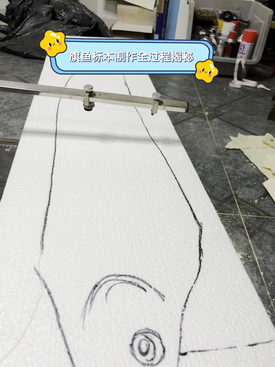 旗鱼标本制作全过程揭秘