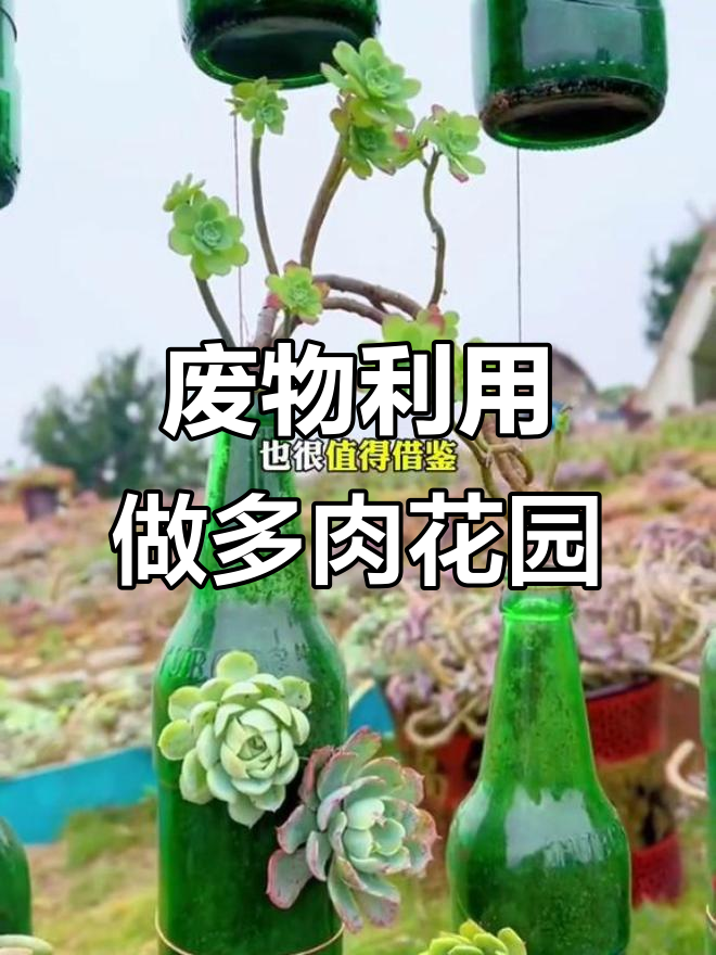 低成本打造多肉花园，废旧饮料瓶变创意花盆