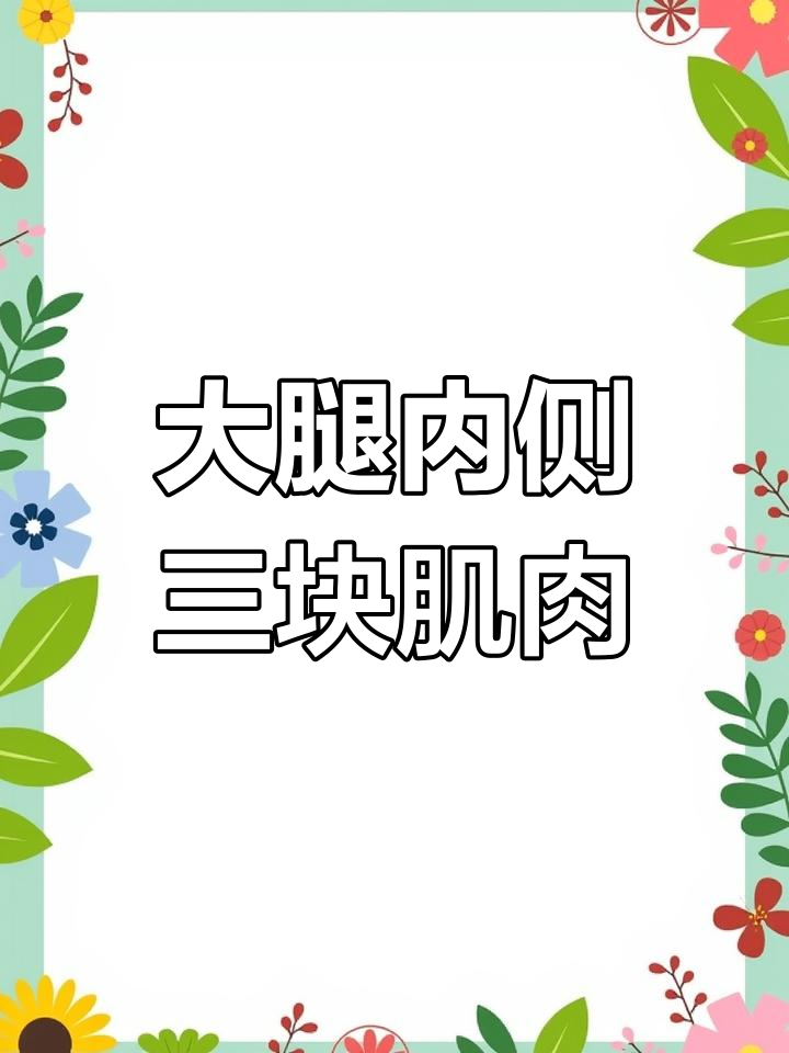 缝匠肌与鹅足腱:大腿内侧的三大肌肉