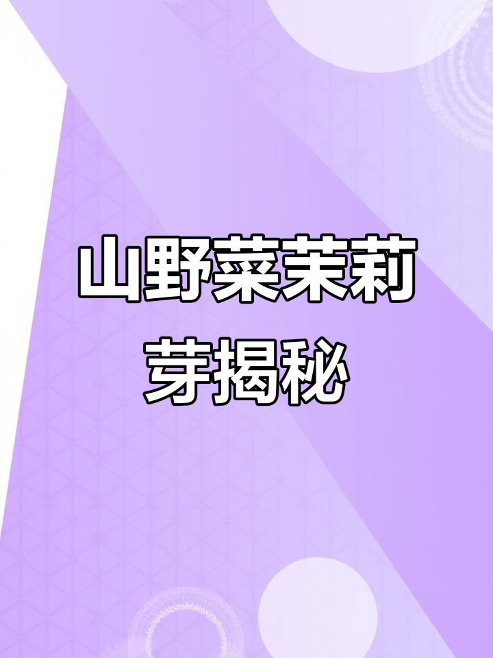 探秘山野菜茉莉芽,美味与健康的完美结合