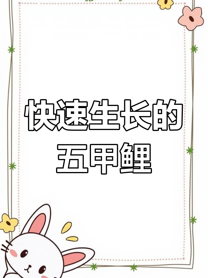五甲鲤鱼:一年长7-8斤,最大能达100多斤