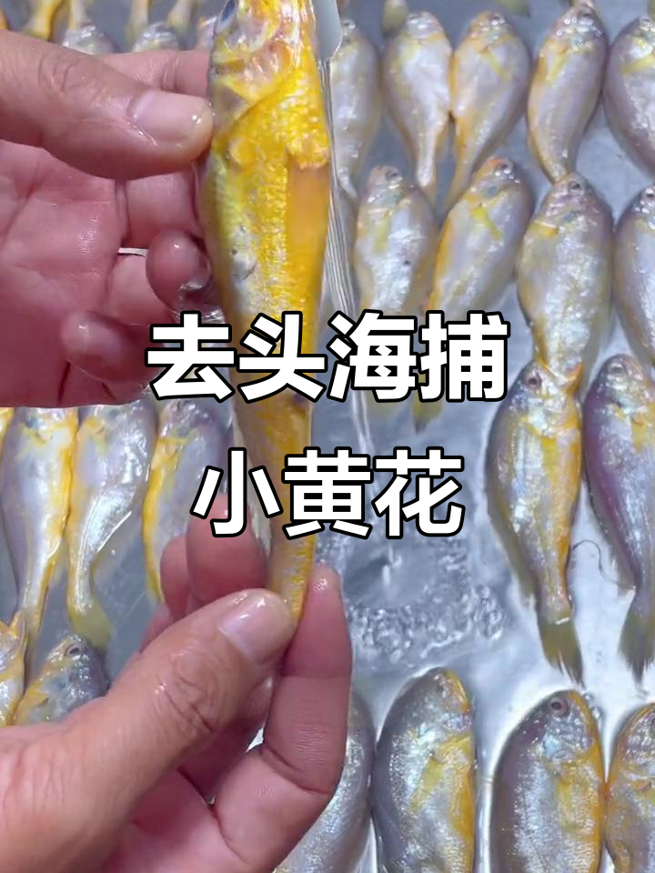 海捕黄花鱼去头内脏，做法超省心！