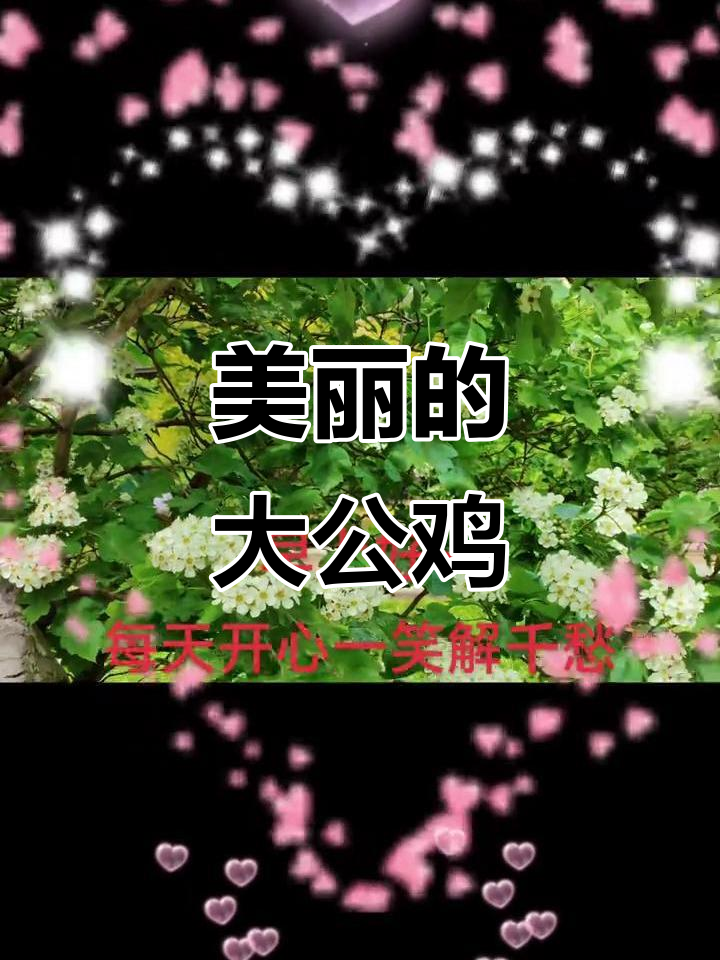 大公鸡,红冠绿尾,油亮脖颈,美丽又精神!