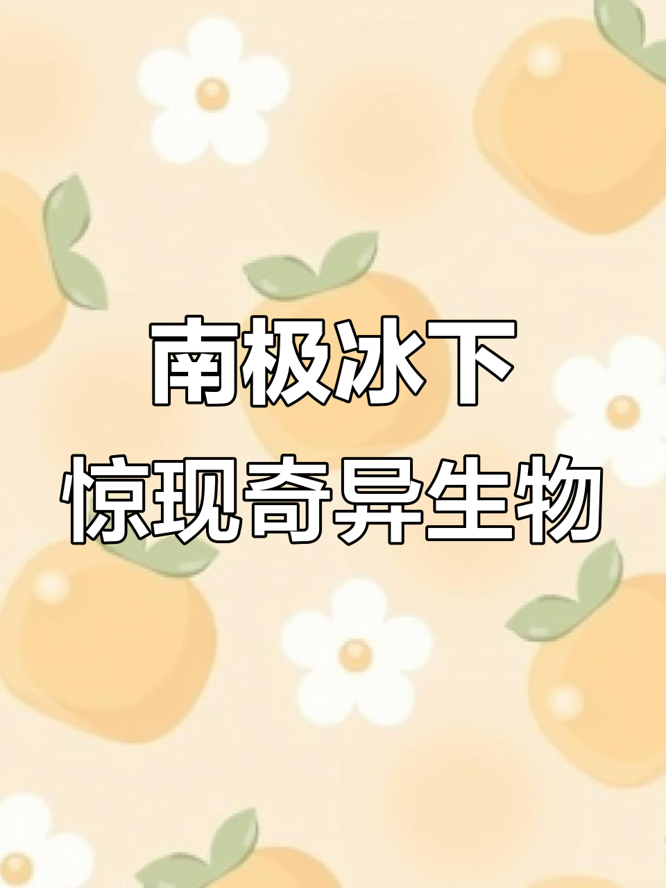 南极冰层下的神秘生物,竟然有巨型抹香鲸和科幻瞳眼鱼