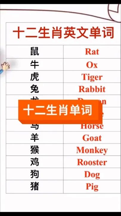 十二生肖英文单词,领取你的专属英文!