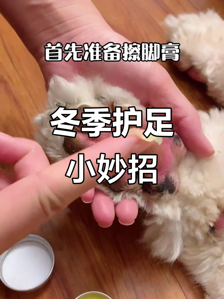 秋冬季节,狗狗肉垫干燥?润脚膏来帮忙呵护!