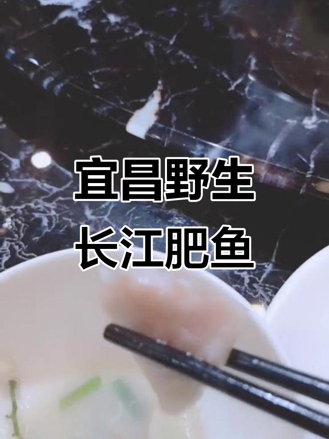 宜昌野生长江肥鱼