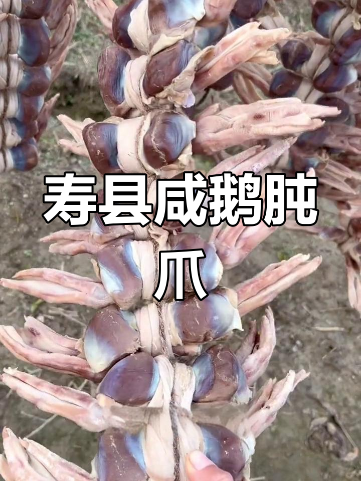 安徽寿县特产咸鹅肫爪,一串十副爪子,腊味十足