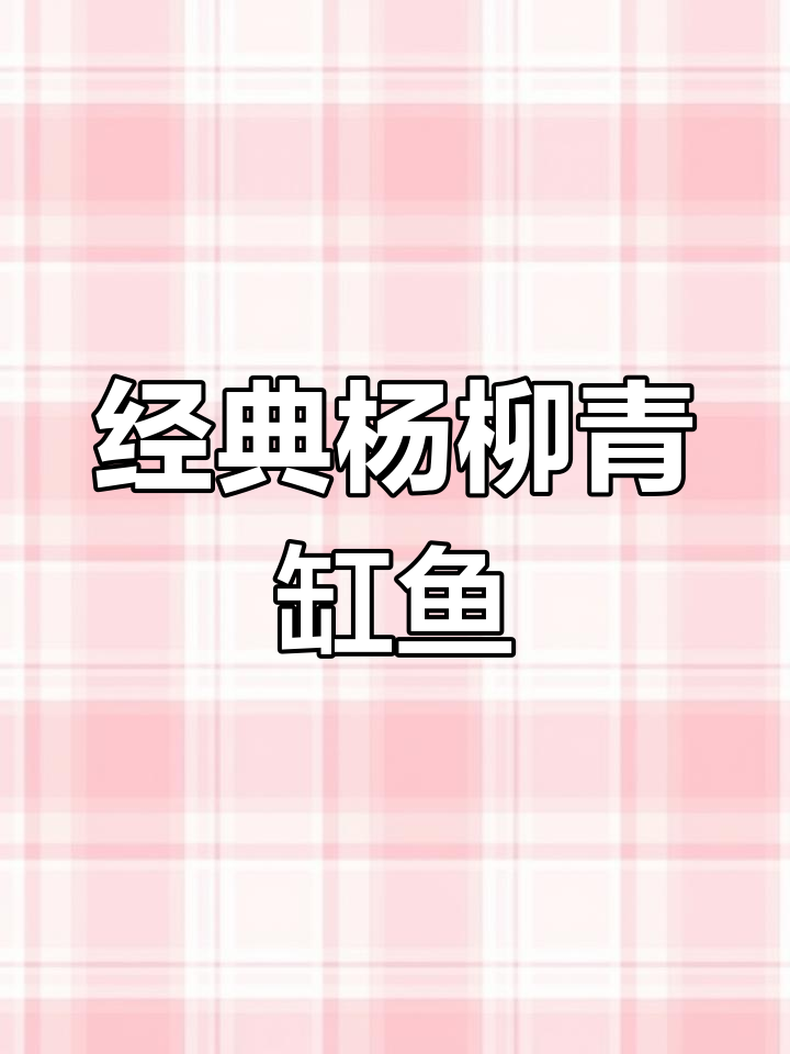 杨柳青年画中的传统缸鱼年画《连年有余》