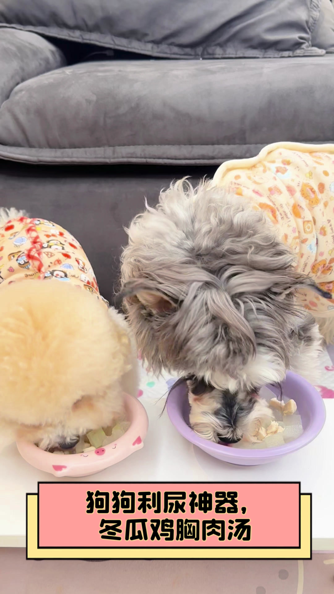 狗狗利尿神器,冬瓜鸡胸肉汤