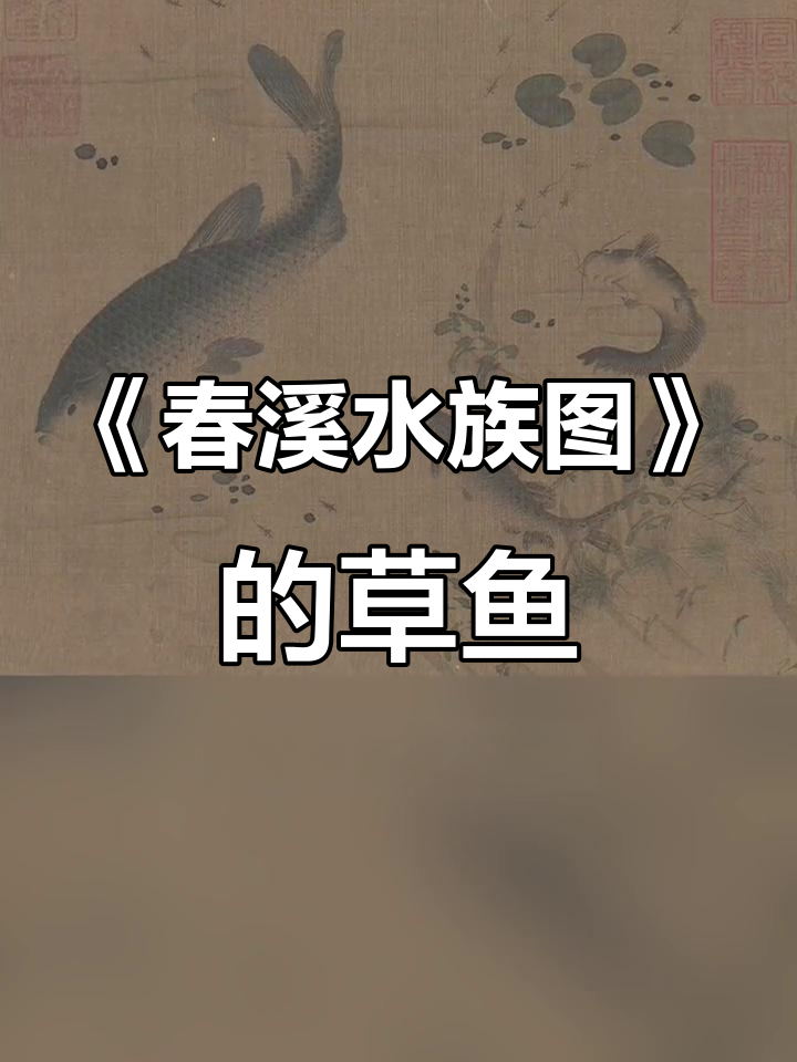 宋代《春溪水族图》中的草鱼,细节逼真让人惊叹