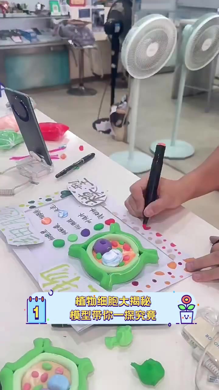 植物细胞大揭秘,模型带你一探究竟