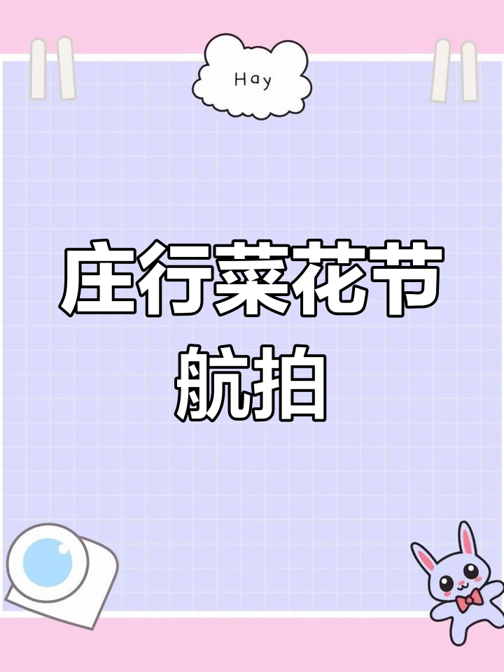 上海奉贤油菜花节,无人机FPV视角带你穿越花海