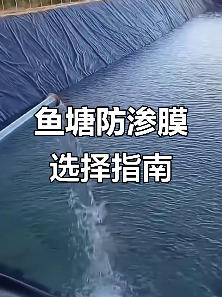 如何挑选鱼塘防渗膜?选材、厚度全解析