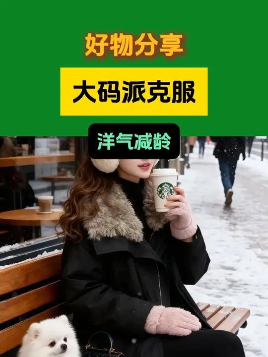 2025秋冬新款时尚显瘦气质网红高档洋气女高级百搭宽松大码派克服