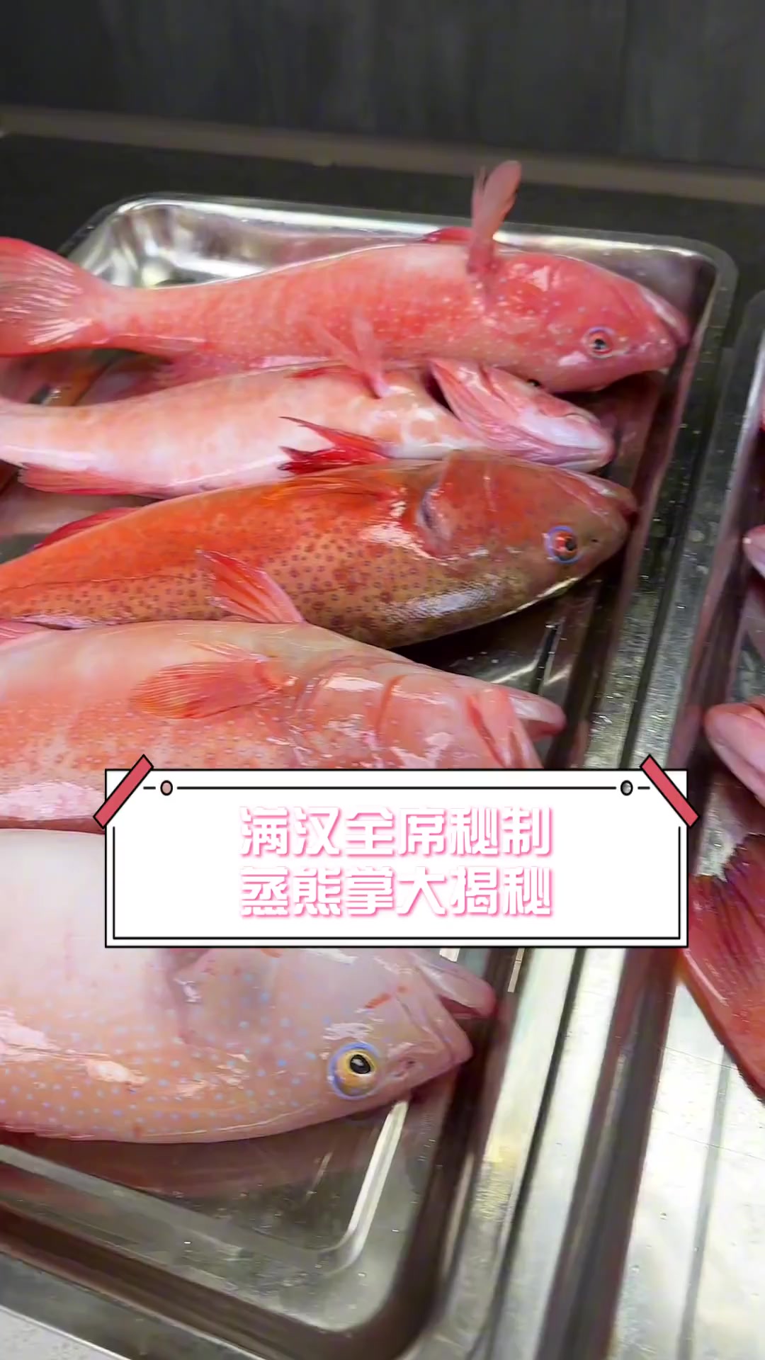 满汉全席秘制,蒸熊掌大揭秘