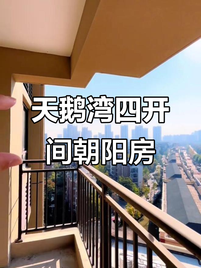 宿州天鹅湾新房曝光！四开间朝阳小户型，采光无敌