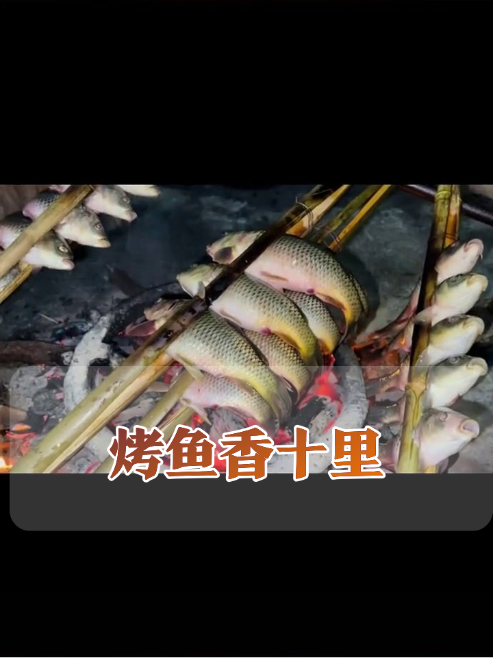 鸡群抢食猫咪监工,乡村烤鱼香到流口水