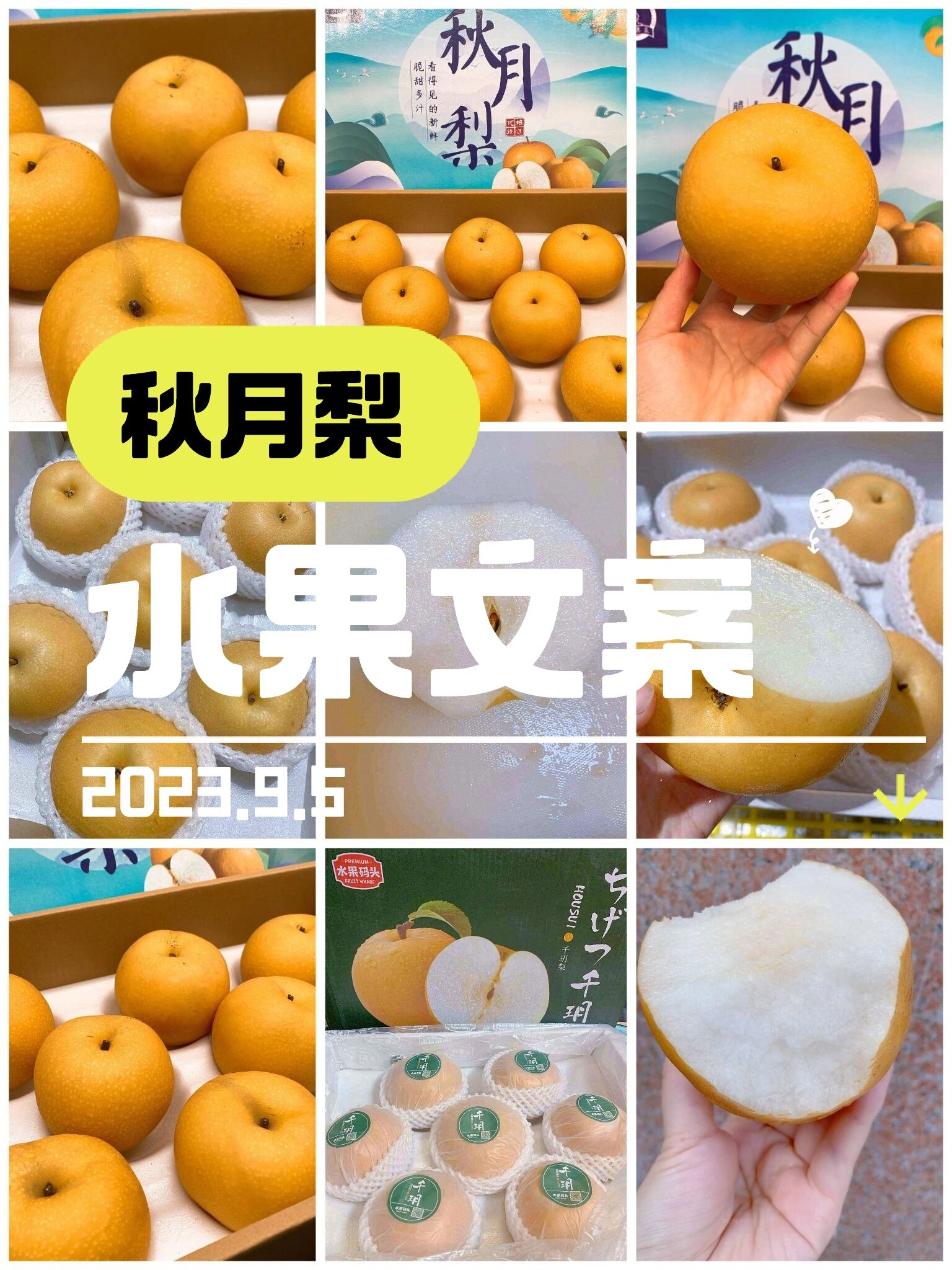 水果文案|9.5秋月梨朋友圈水果文案推荐