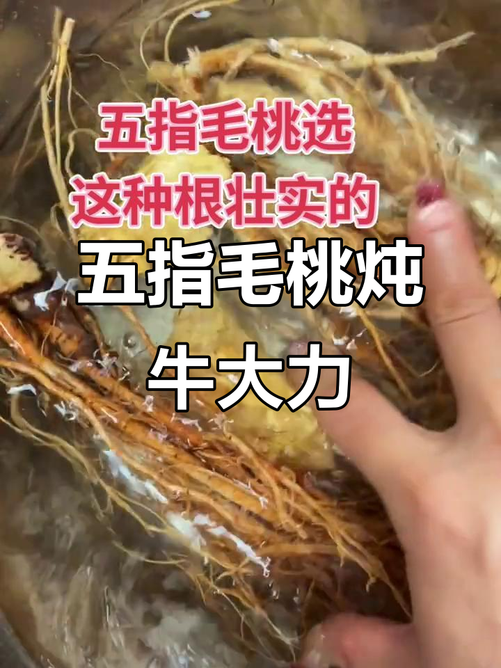 五指毛桃土茯苓煲牛大力,广东祛湿第一名汤