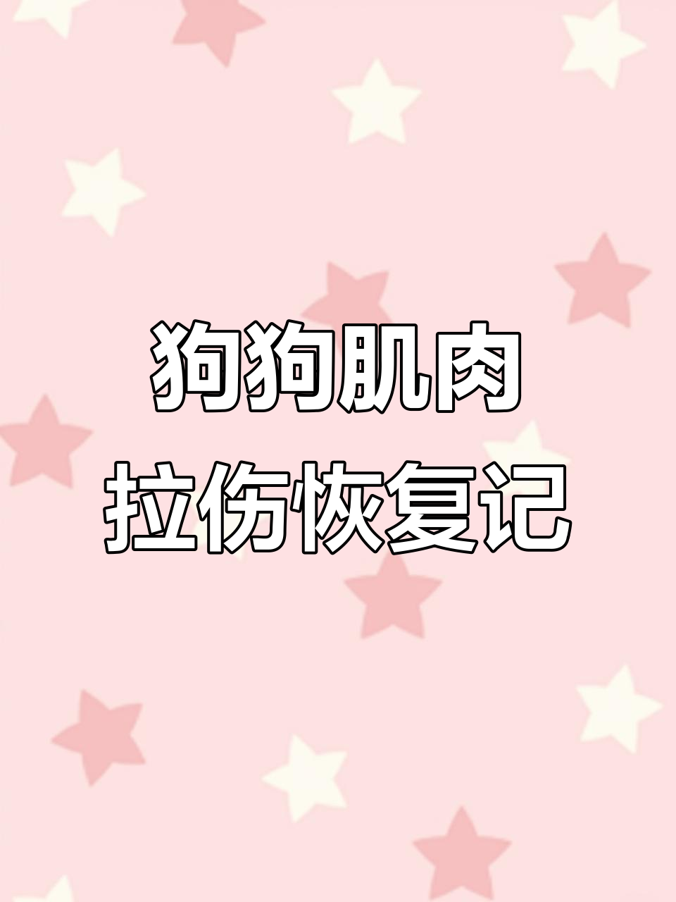狗狗肌肉拉伤恢复过程,静养与慢走是关键