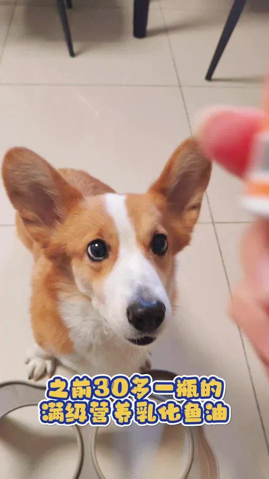 满级营养的乳化鱼油现在活动价平均才10多块一瓶!鱼油这种消耗 品赶紧囤起来吧!