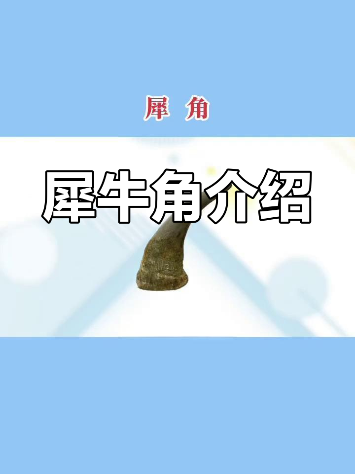 犀牛角的形态与特征