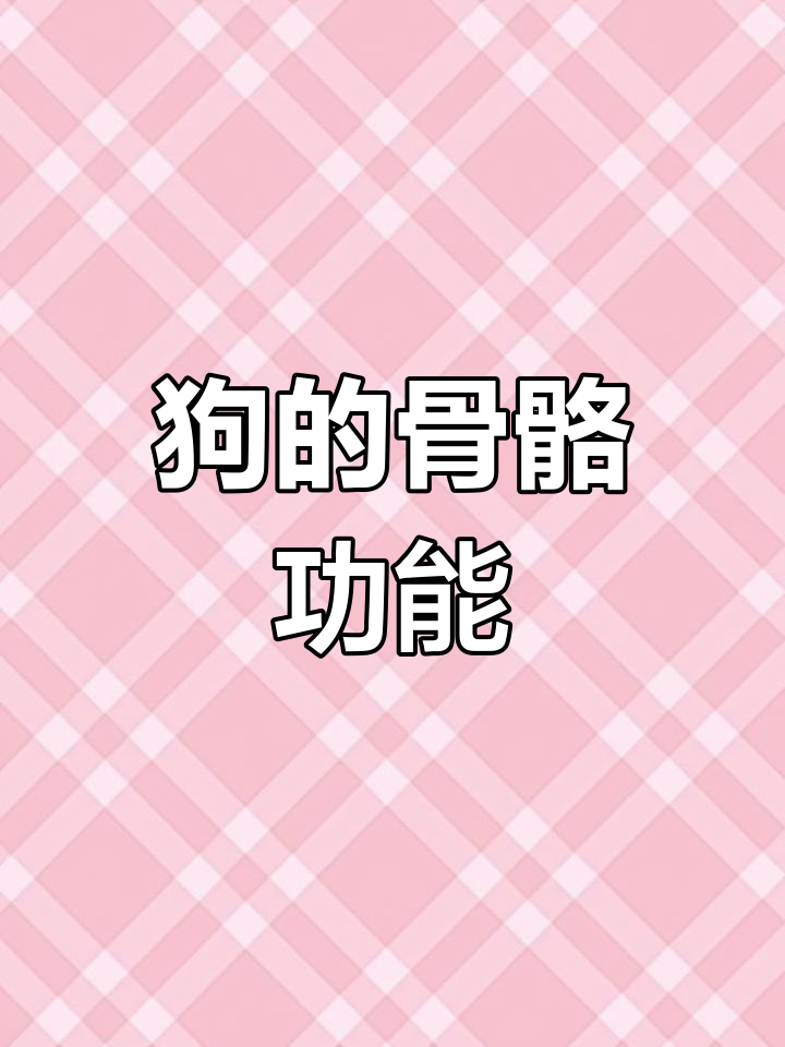 狗狗骨骼系统的作用与结构解析