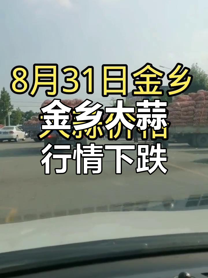 金乡蒜业市场动态:价格小幅下滑,成交量不大