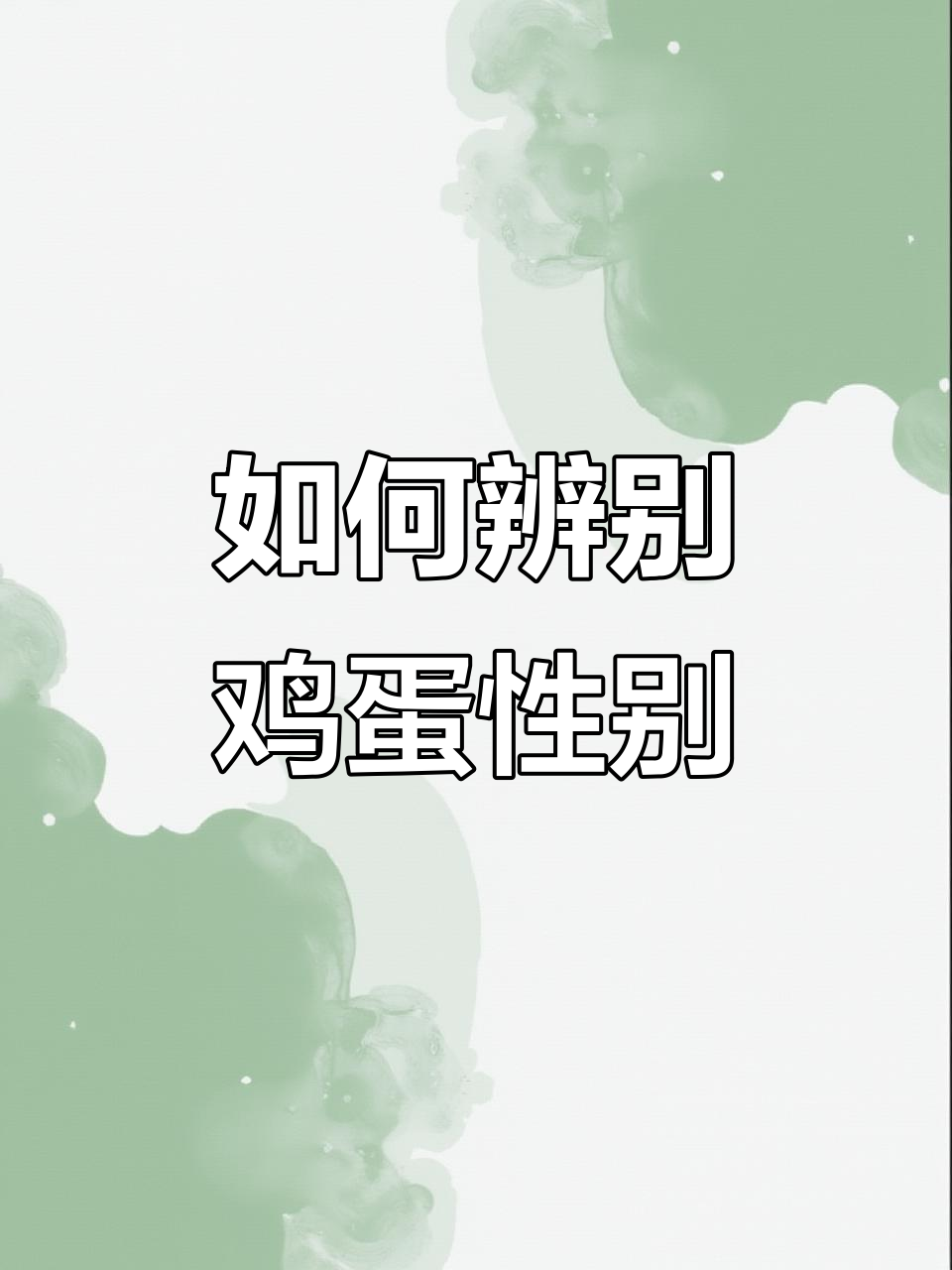 鸡蛋也能分辨公母,教你如何区分雌雄蛋