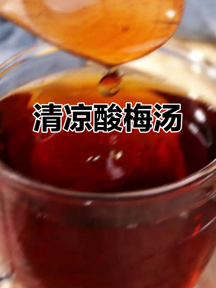 夏日必备酸梅汤,清凉解渴,独立包装方便携带