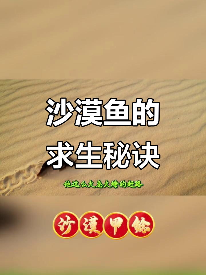 沙漠中的奇迹：鱼靠咕噜声寻水，旱季顽强生存！