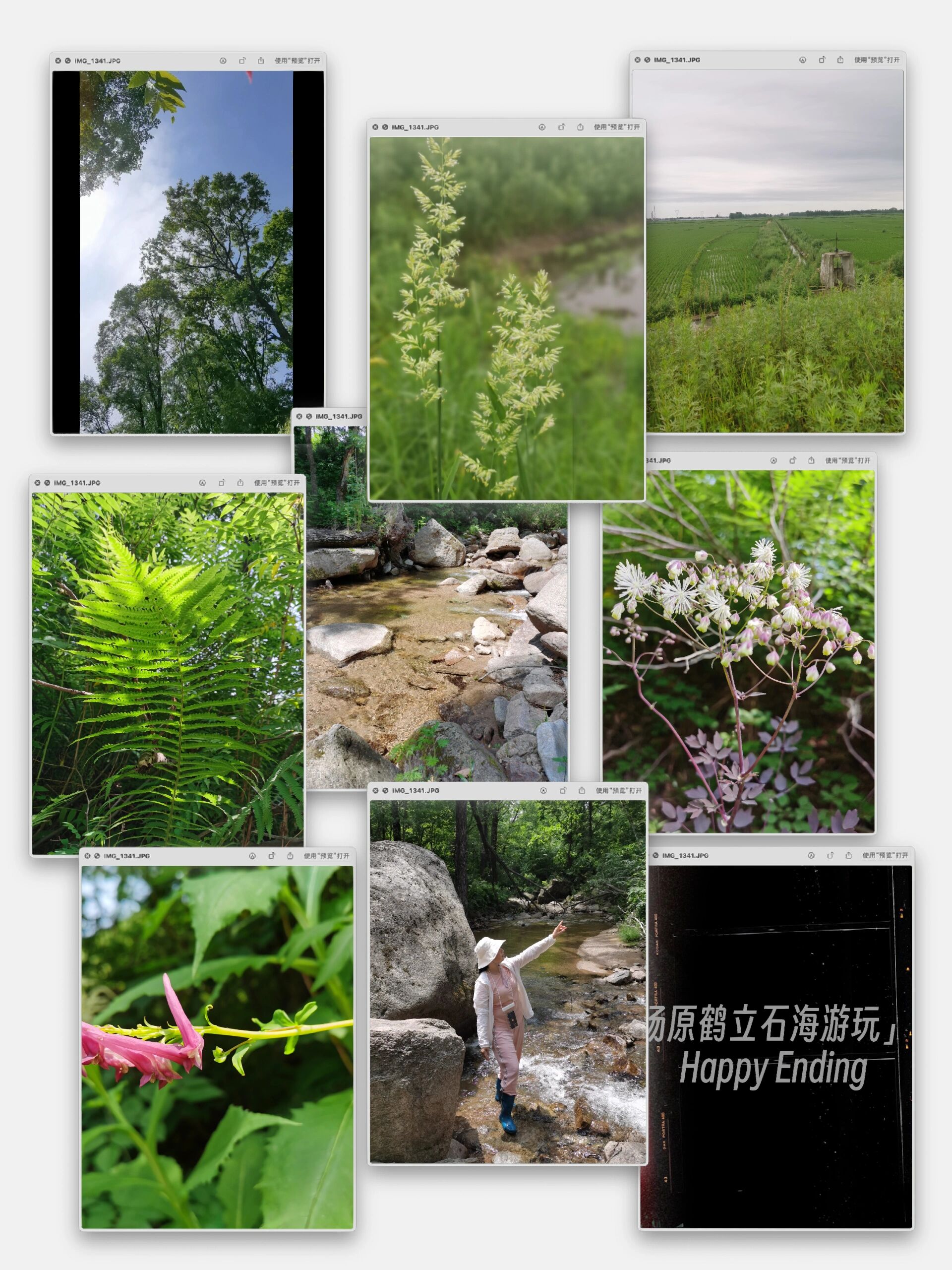 汤原鹤立石海游玩