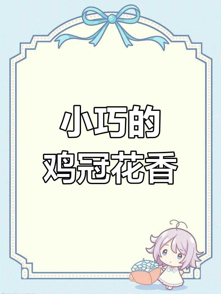 矮苗大朵鸡冠花,香气弥漫室内
