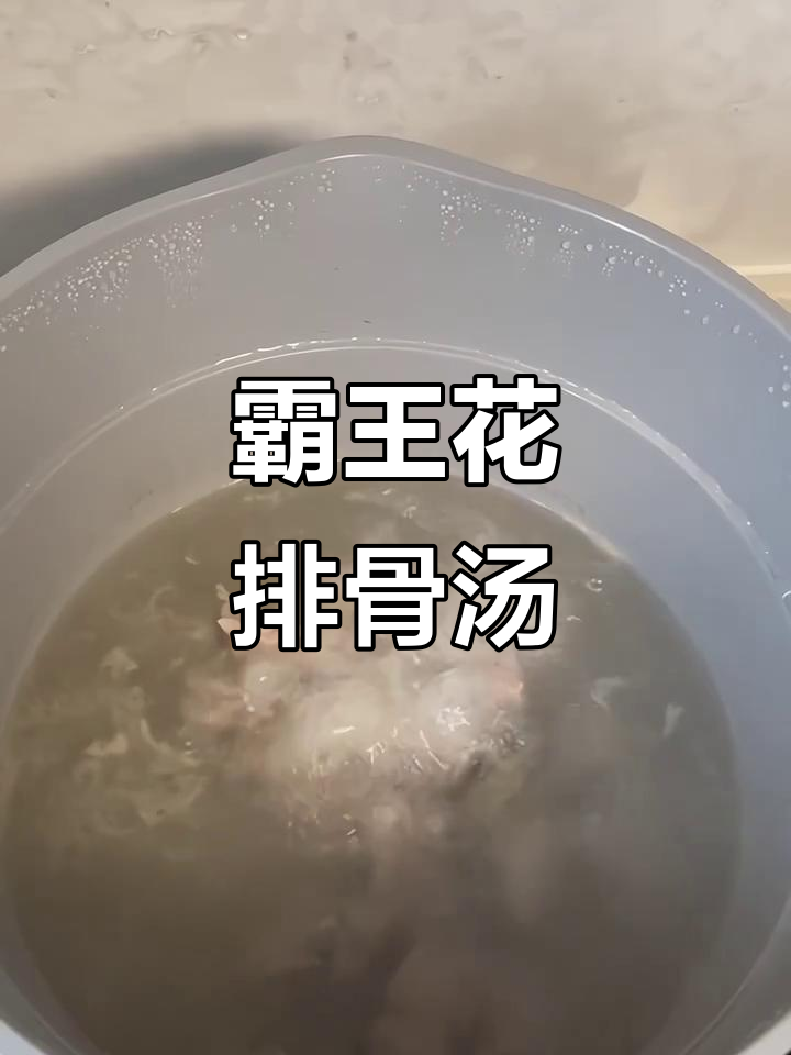 秋季润肺霸王花排骨汤,清热又滋补