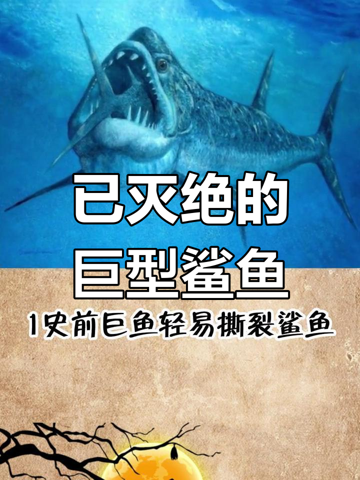 史前十大恐怖鲨鱼,幸已灭绝