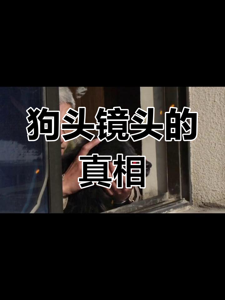 什么是狗头镜头?红圈狗头的真实面目揭秘