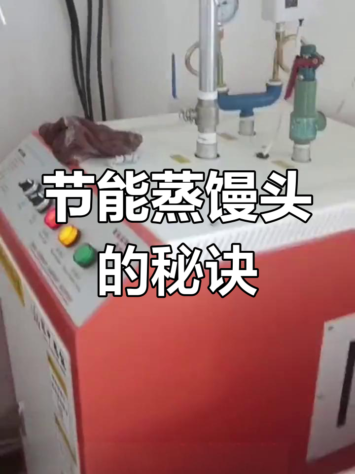 蒸汽机蒸馒头省电又环保,煤烟污染不再有