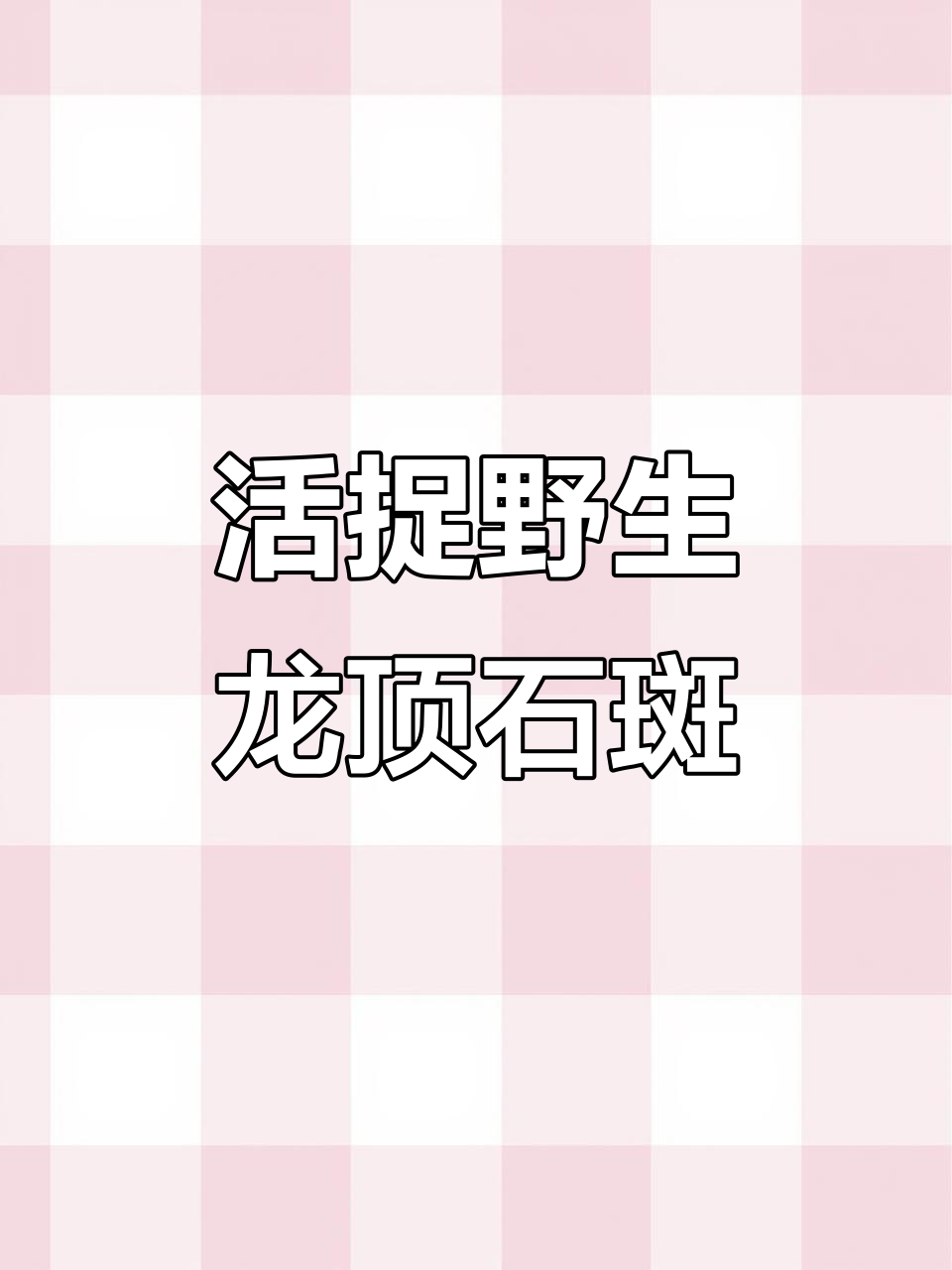 十月渔民大丰收,野生龙鼎石斑鱼罕见现身码头