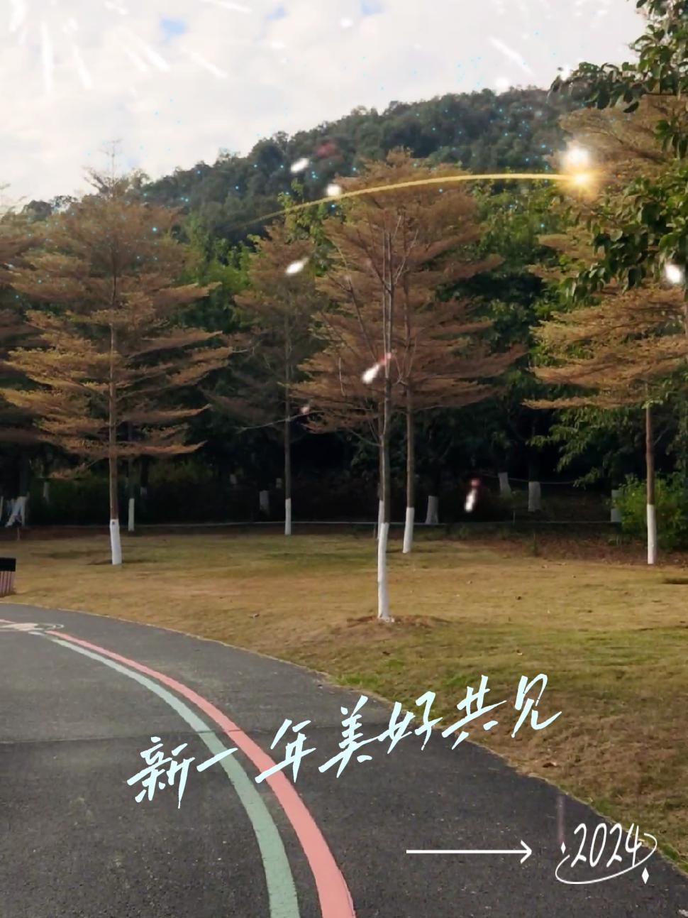 人生是旷野,不是轨道。生活从来没有标准答案,不要拿别人的尺子,丈量自己的日子。人生海海,不