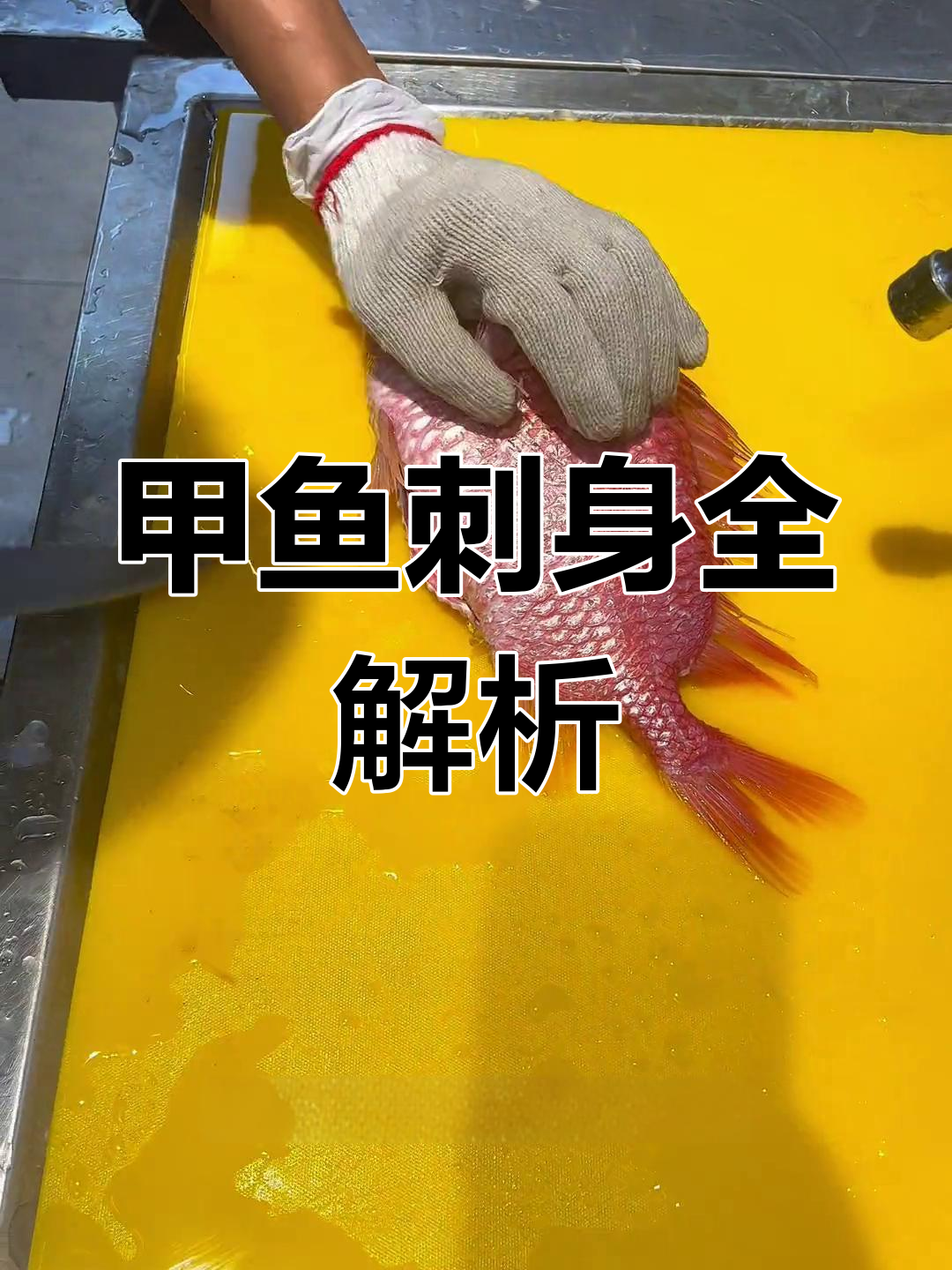 将军甲鱼刺身,全程揭秘,细节满满!